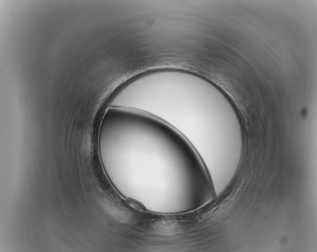 X0000095550252200712211416