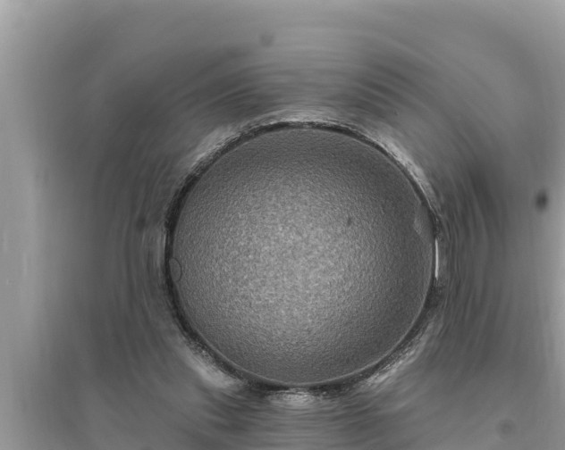 X0000095550253200712211416