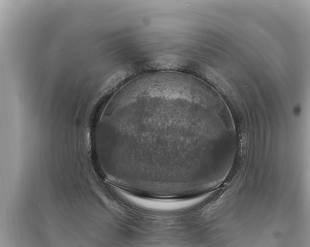 X0000095550254200712211416