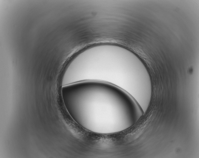 X0000095550256200712211416