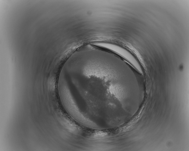 X0000095550257200712211416