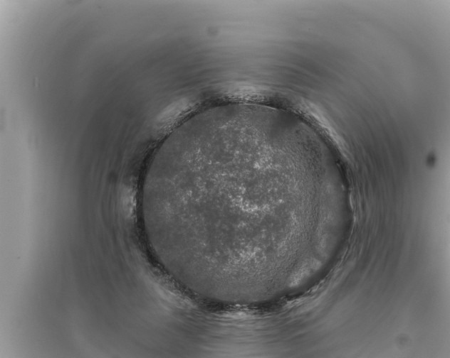 X0000095550259200712211416