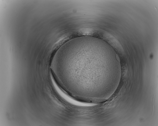 X0000095550262200712211416