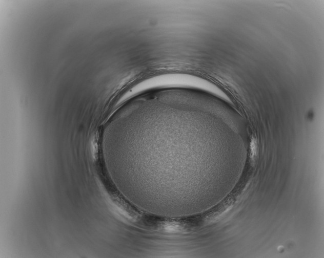 X0000095550264200712211416