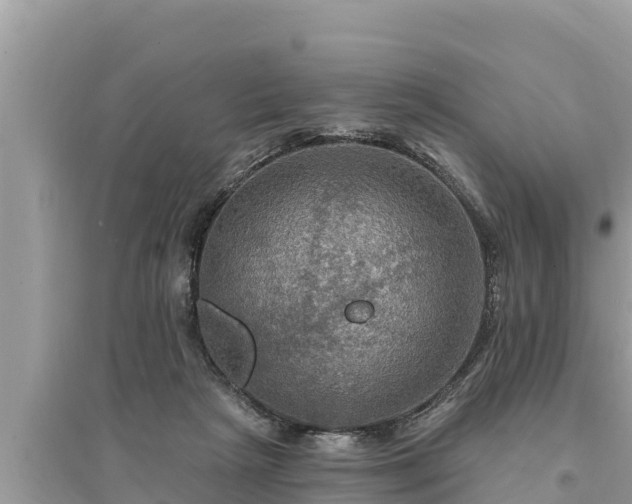 X0000095550265200712211416