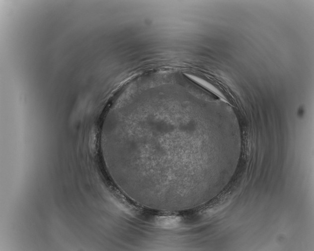 X0000095550266200712211416