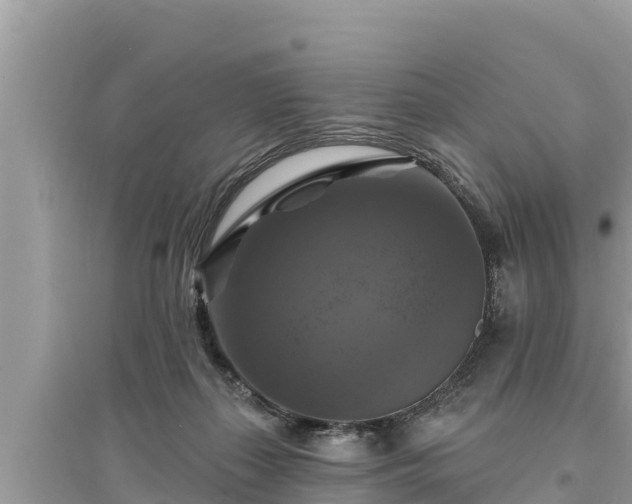 X0000095550267200712211416