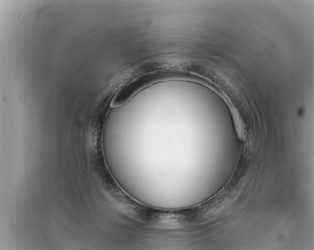 X0000095550268200712211416