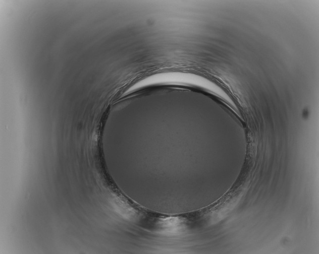 X0000095550269200712211416