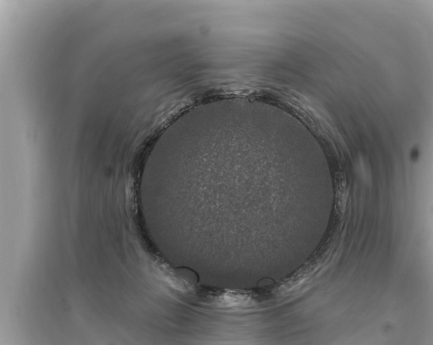 X0000095550270200712211416