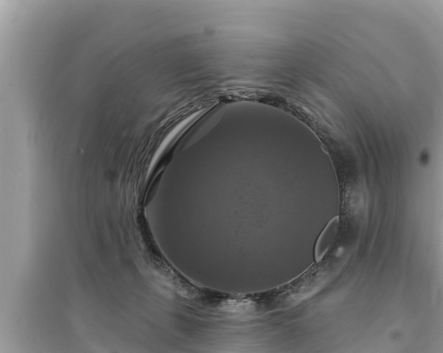 X0000095550271200712211416