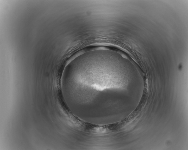 X0000095550272200712211416