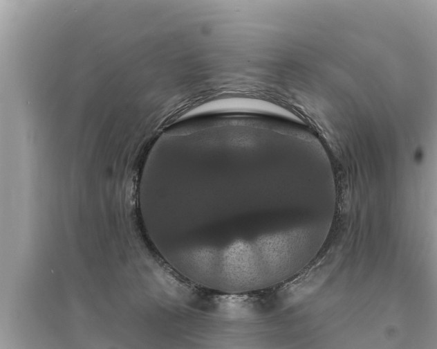 X0000095550273200712211416