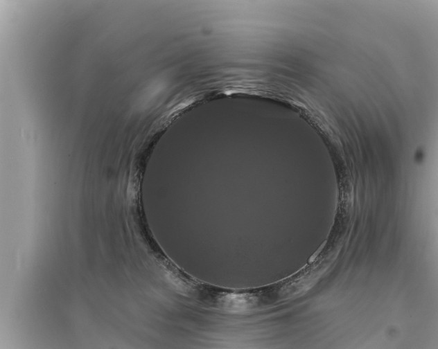 X0000095550277200712211416