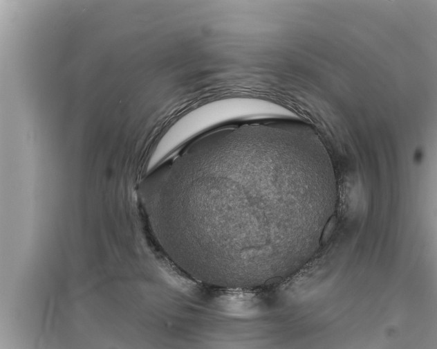 X0000095550278200712211416