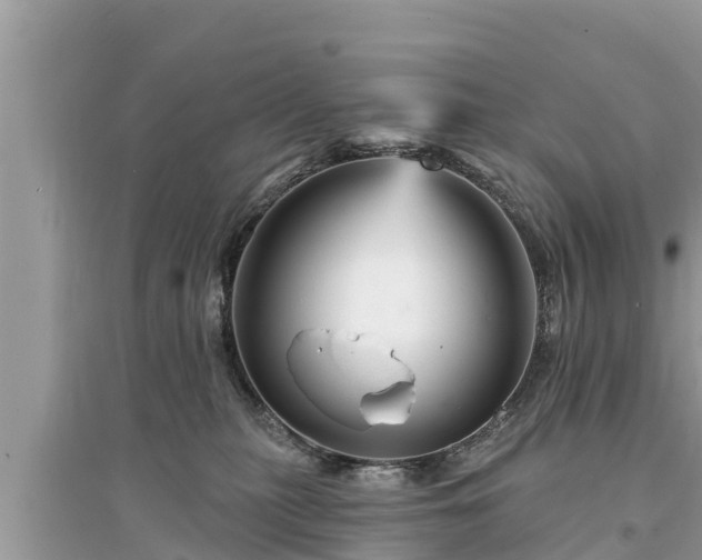 X0000095550279200712211416