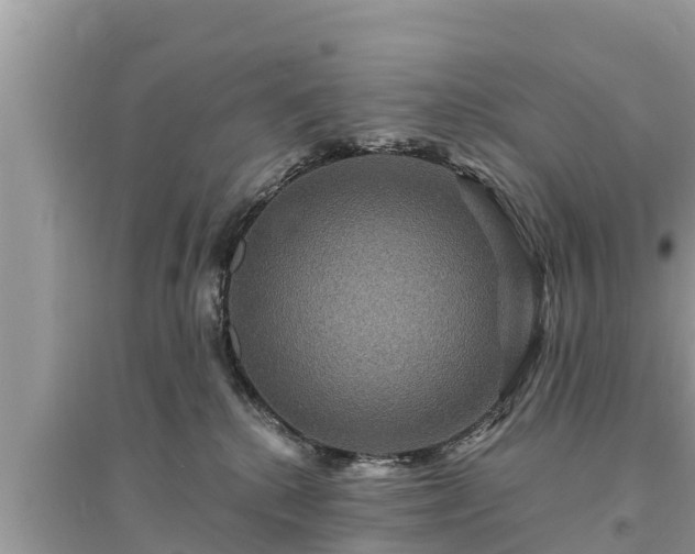 X0000095550280200712211416