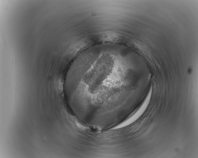 X0000095550282200712211416