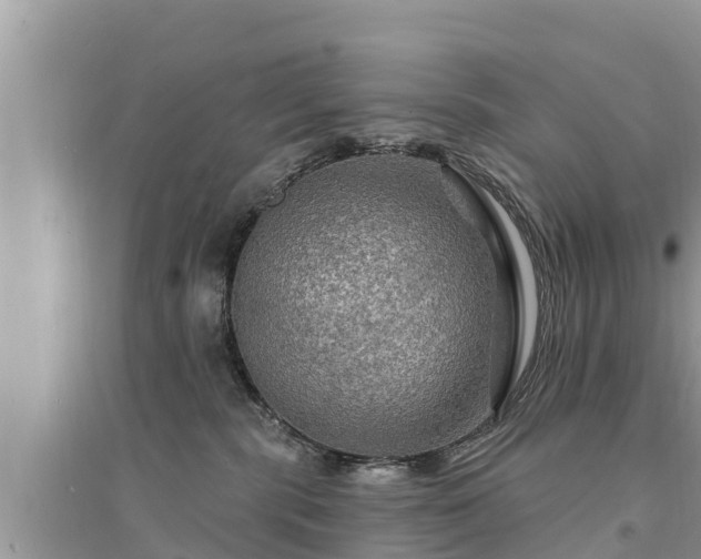 X0000095550283200712211416