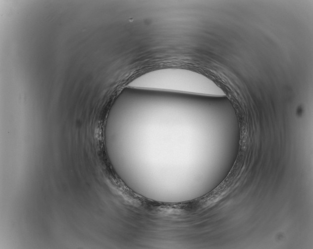 X0000095550284200712211416