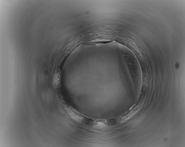 X0000095550285200712211416