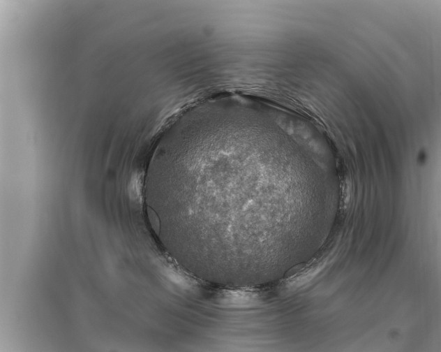 X0000095550286200712211416