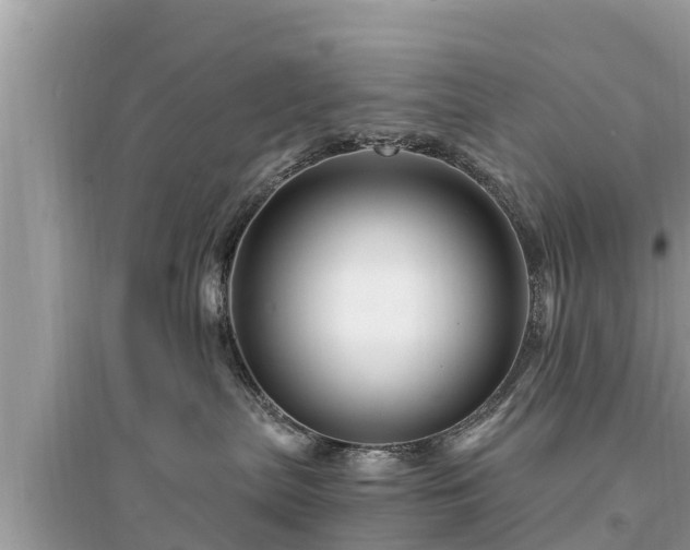 X0000095550287200712211416