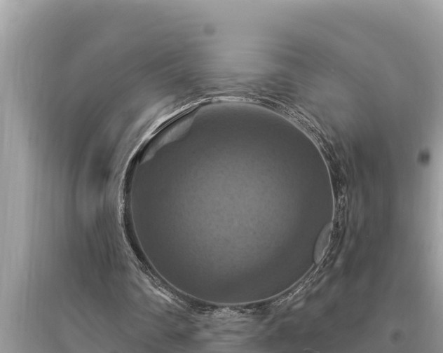 X0000095550290200712211415