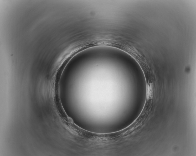 X0000095550291200712211415