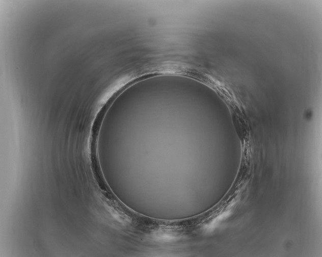 X0000095550292200712211415