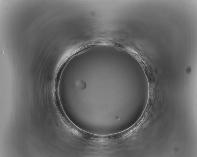 X0000095550293200712211415