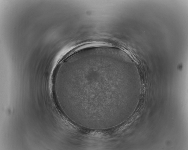 X0000095550294200712211415