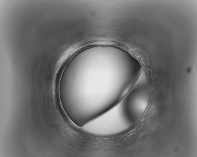 X0000095550296200712211415