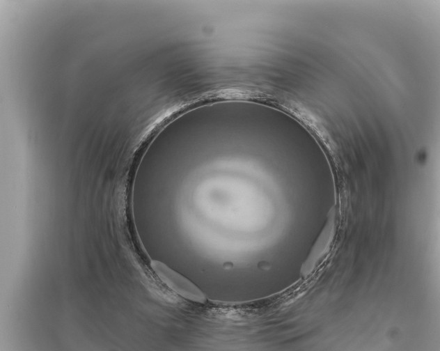 X0000095550297200712211415