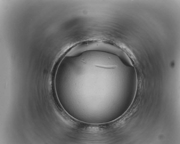 X0000095550298200712211415