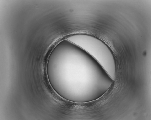 X0000095550300200712211415