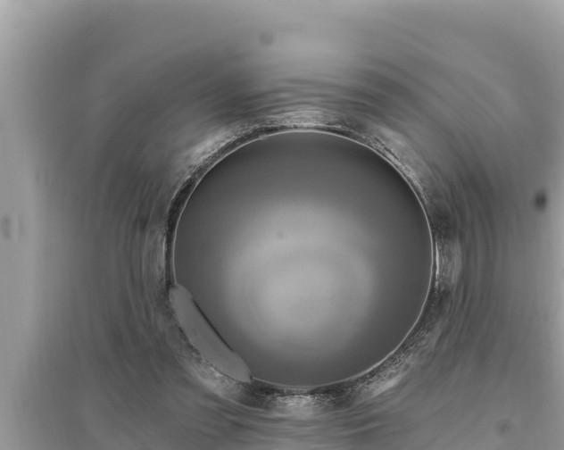 X0000095550301200712211415