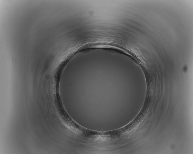 X0000095550303200712211415