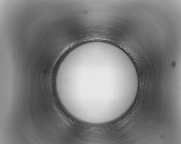 X0000095550304200712211415