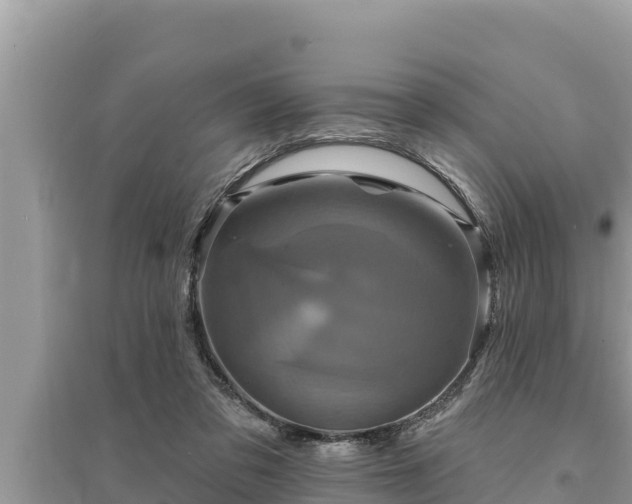 X0000095550309200712211415