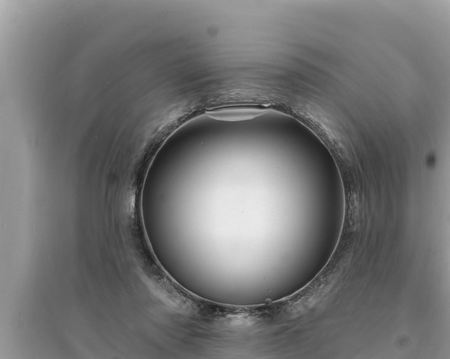 X0000095550310200712211415