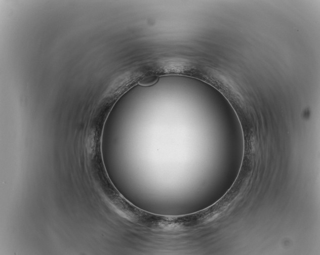 X0000095550311200712211415