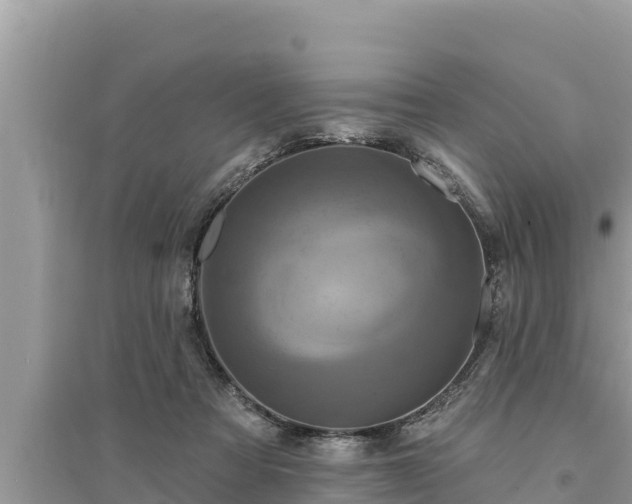 X0000095550313200712211415