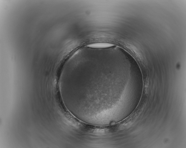 X0000095550314200712211415