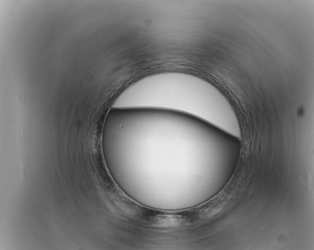 X0000095550316200712211415