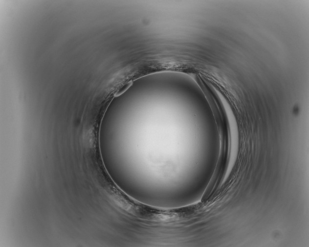 X0000095550317200712211415