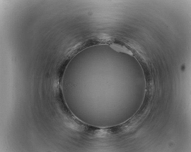 X0000095550320200712211415