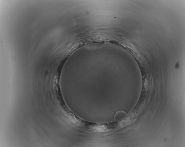 X0000095550322200712211415