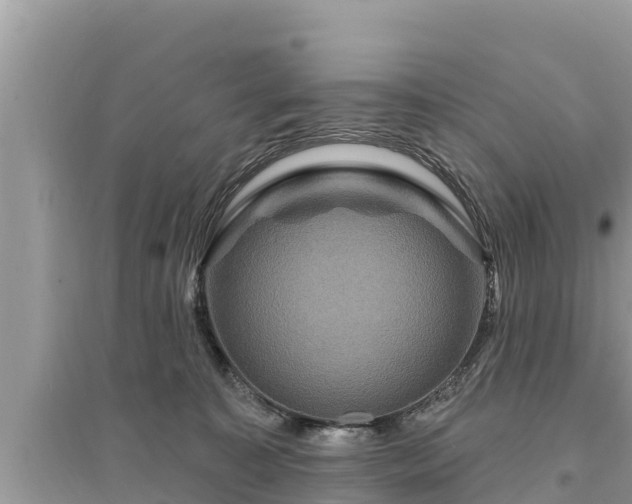 X0000095550323200712211415