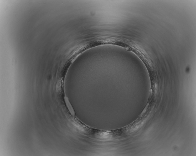 X0000095550325200712211415